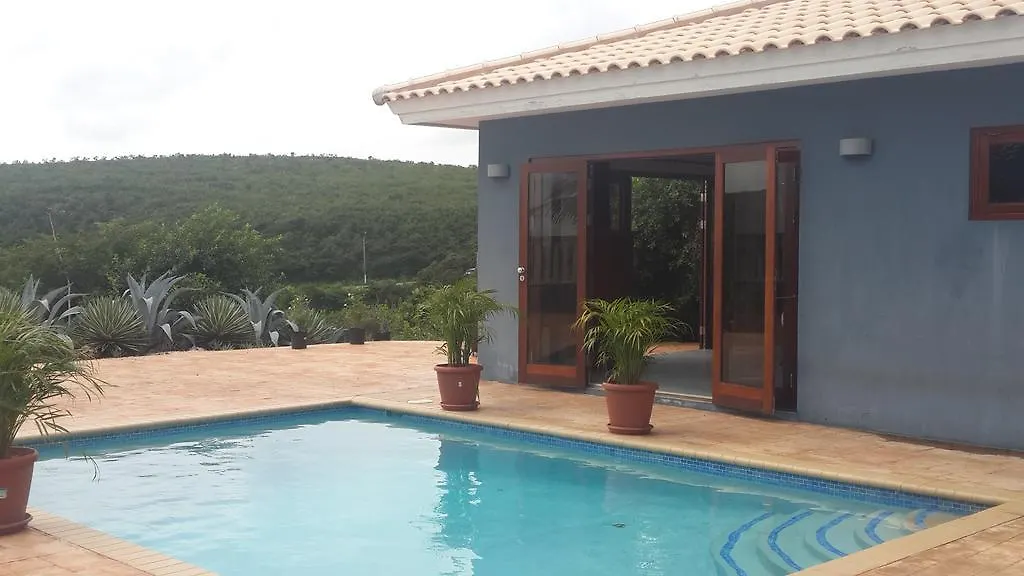 Great Hill View Apartment Grote Berg キュラソー